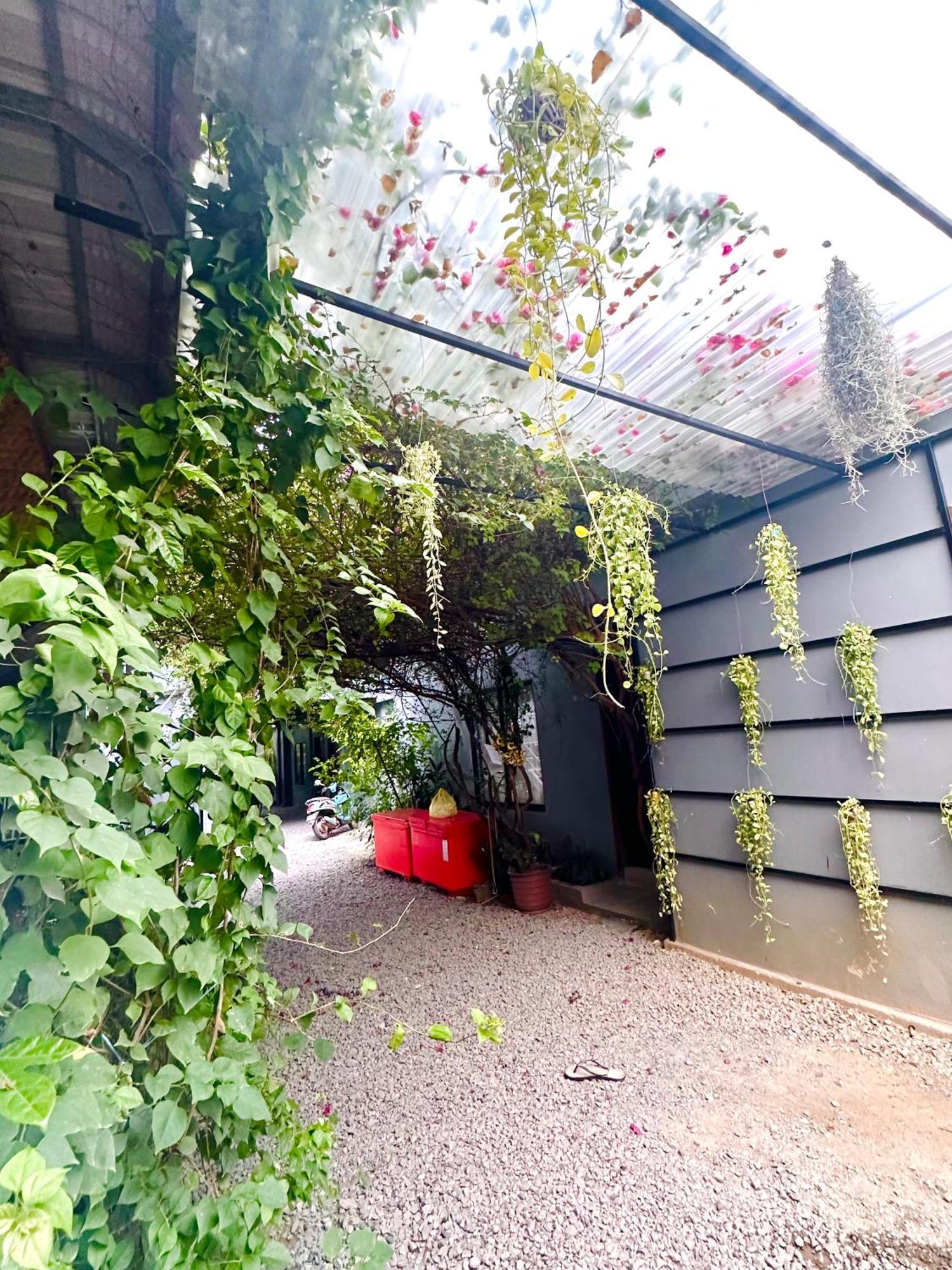 Angkor Piseth Homestay 시엠리아프 외부 사진