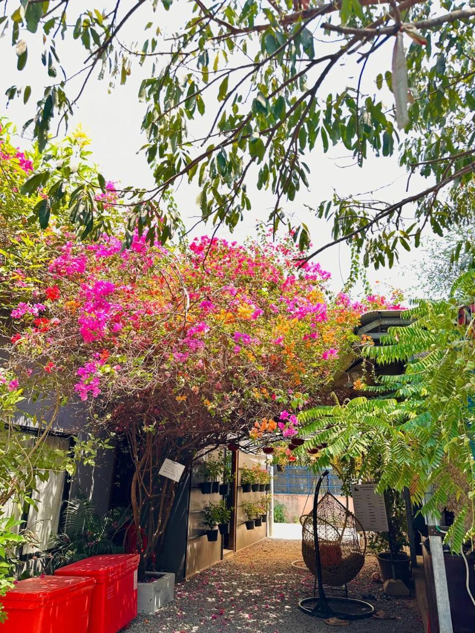 Angkor Piseth Homestay 시엠리아프 외부 사진