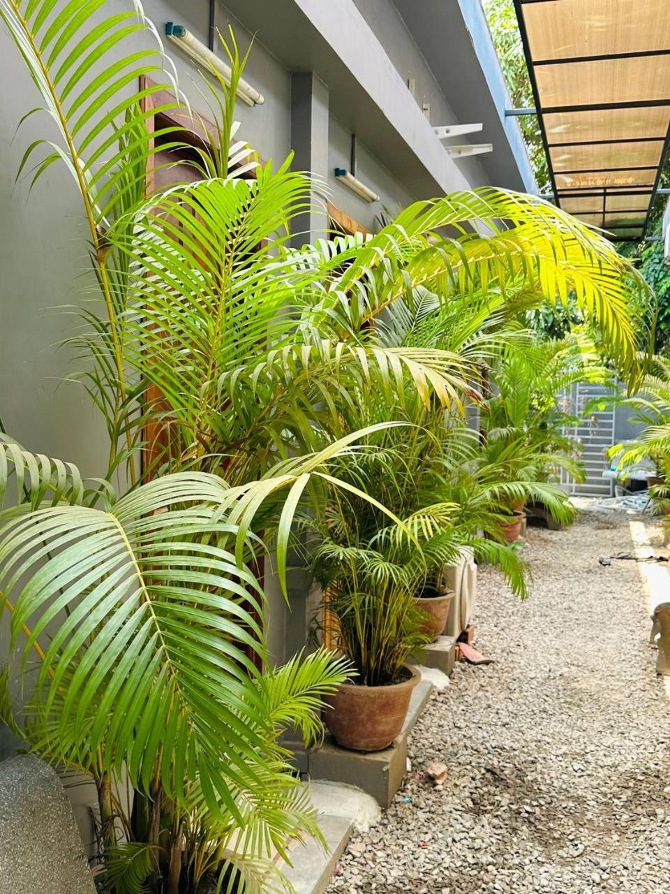 Angkor Piseth Homestay 시엠리아프 외부 사진