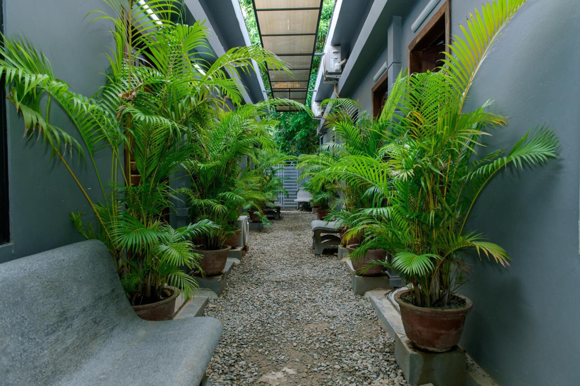 Angkor Piseth Homestay 시엠리아프 외부 사진